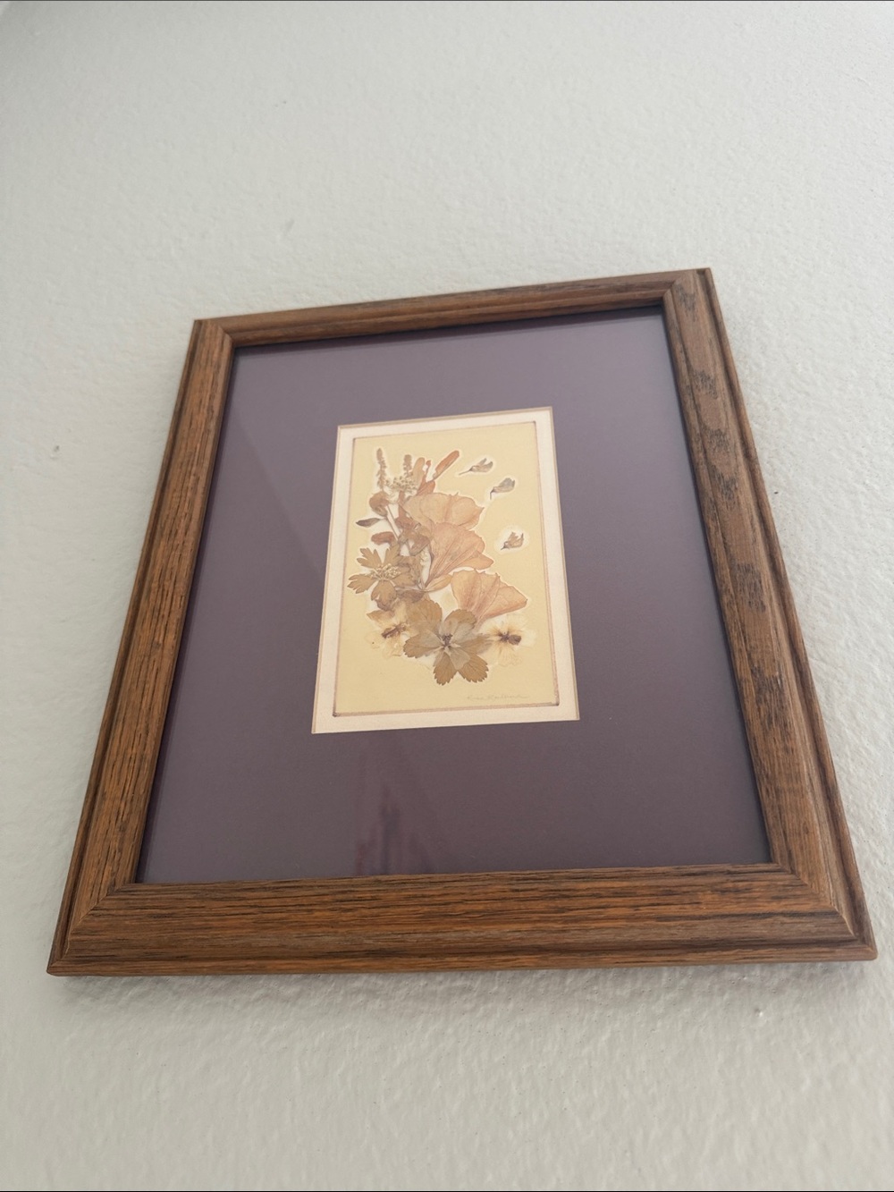 Vintage 8 x 10 Pressed Dried Floral Art Frame